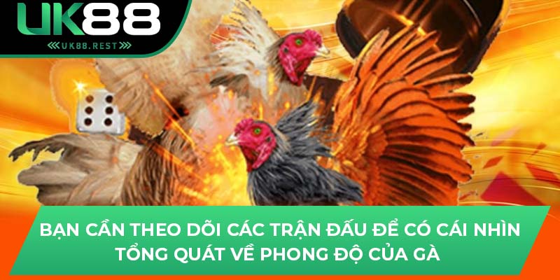 Bạn cần theo dõi các trận đấu để có cái nhìn tổng quát về phong độ của gà